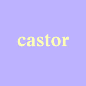 Souscription Castor
