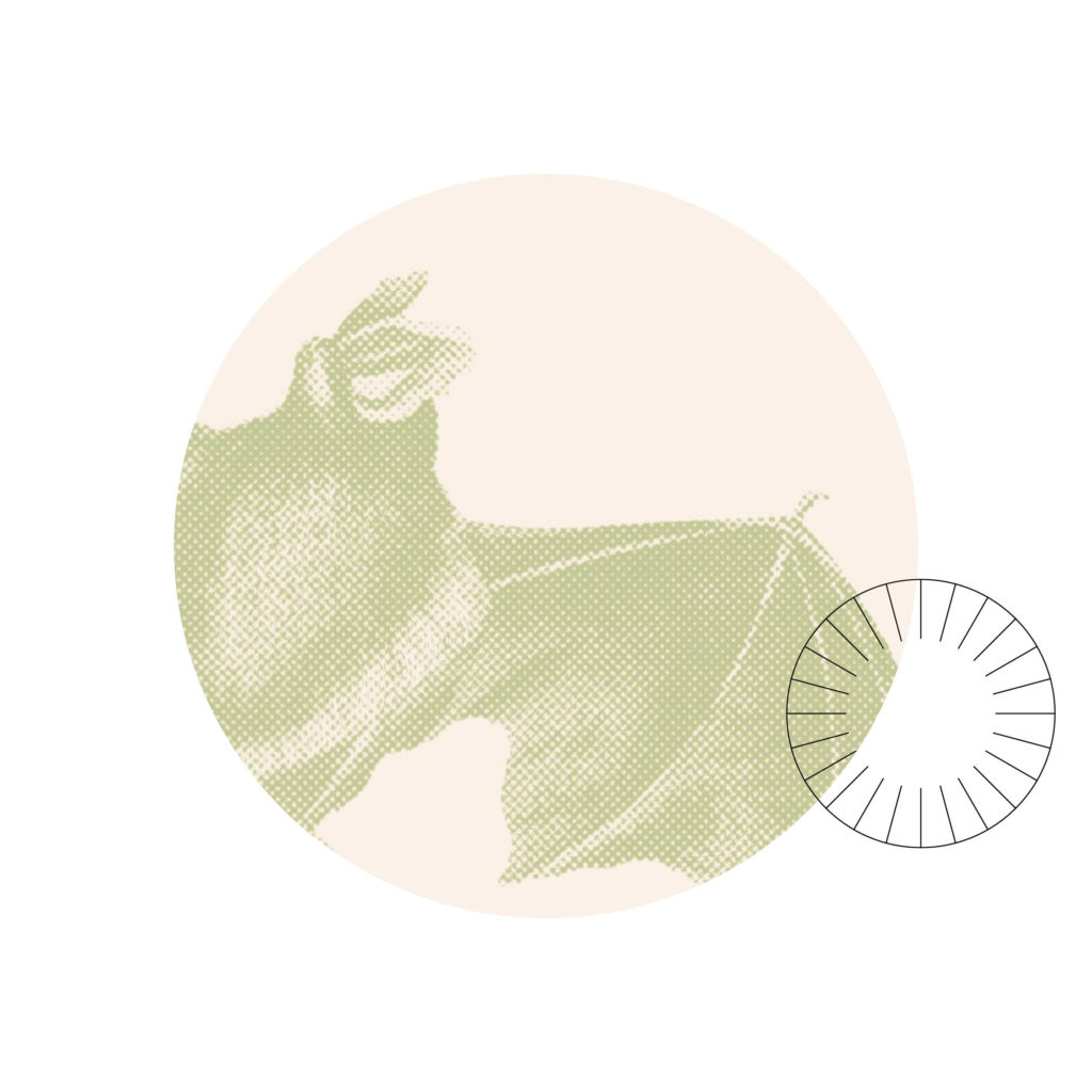 Installation d&rsquo;Olivia Pedroli au MEN