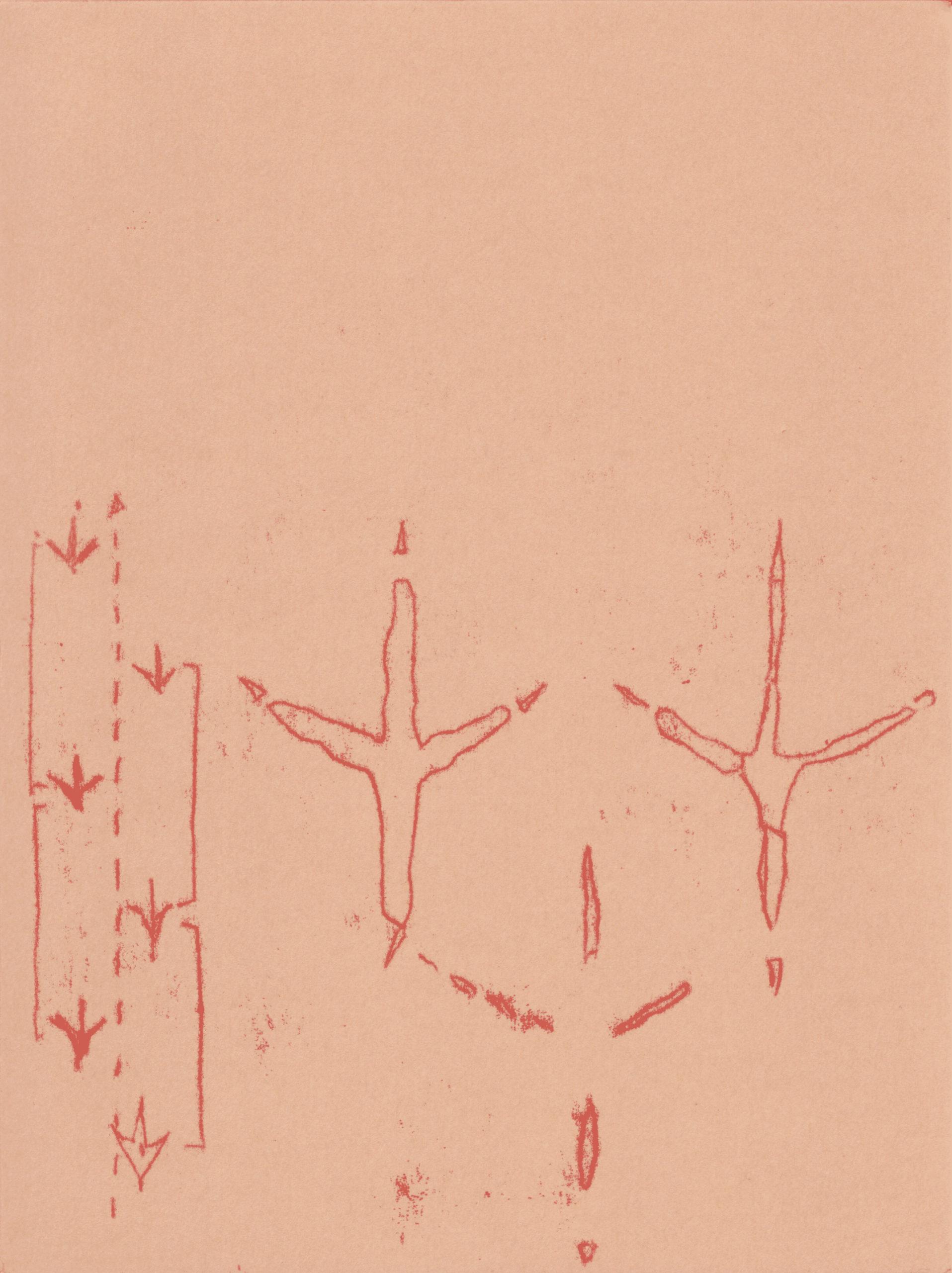 Carte en monotype par Naomi Del Vecchio, extraite de «La Volée»