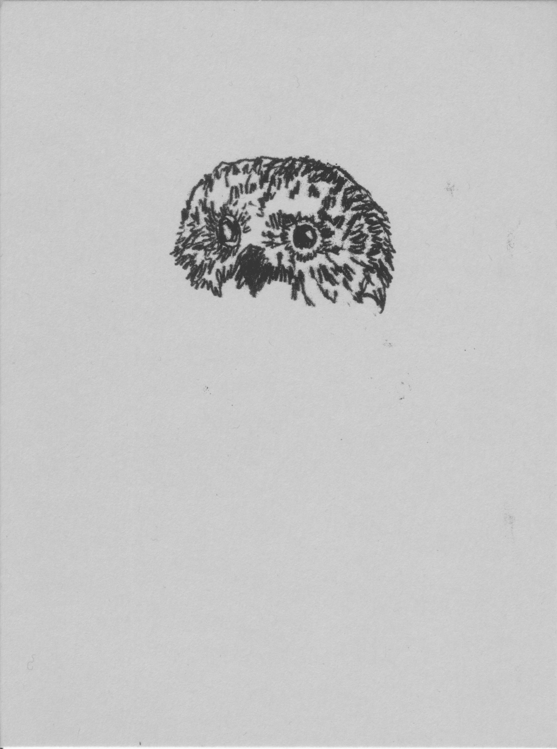 Carte en monotype par Naomi Del Vecchio, extraite de «La Volée»