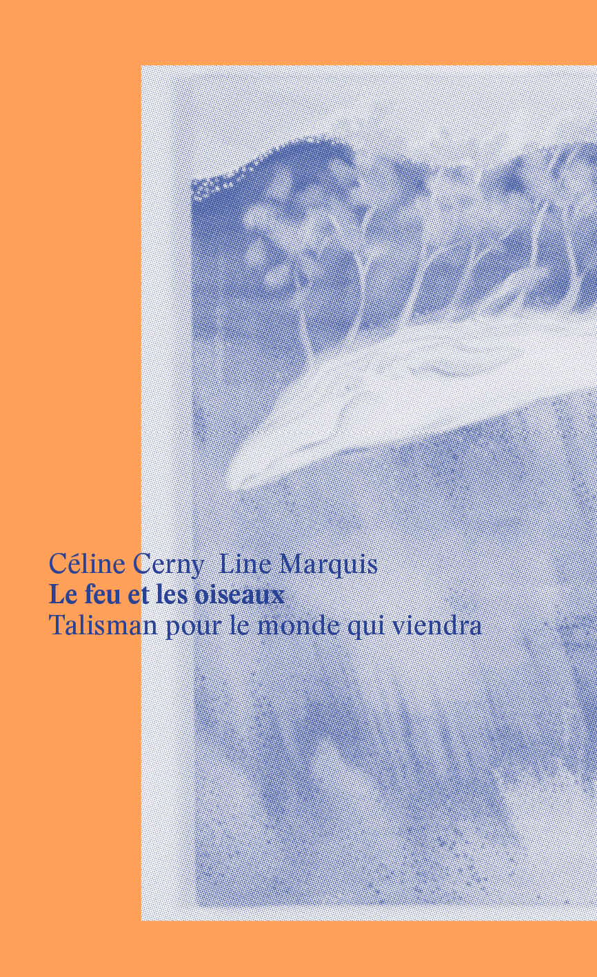 «Le feu et les oiseaux», Céline Cerny et Line Marquis à la galerie Odile