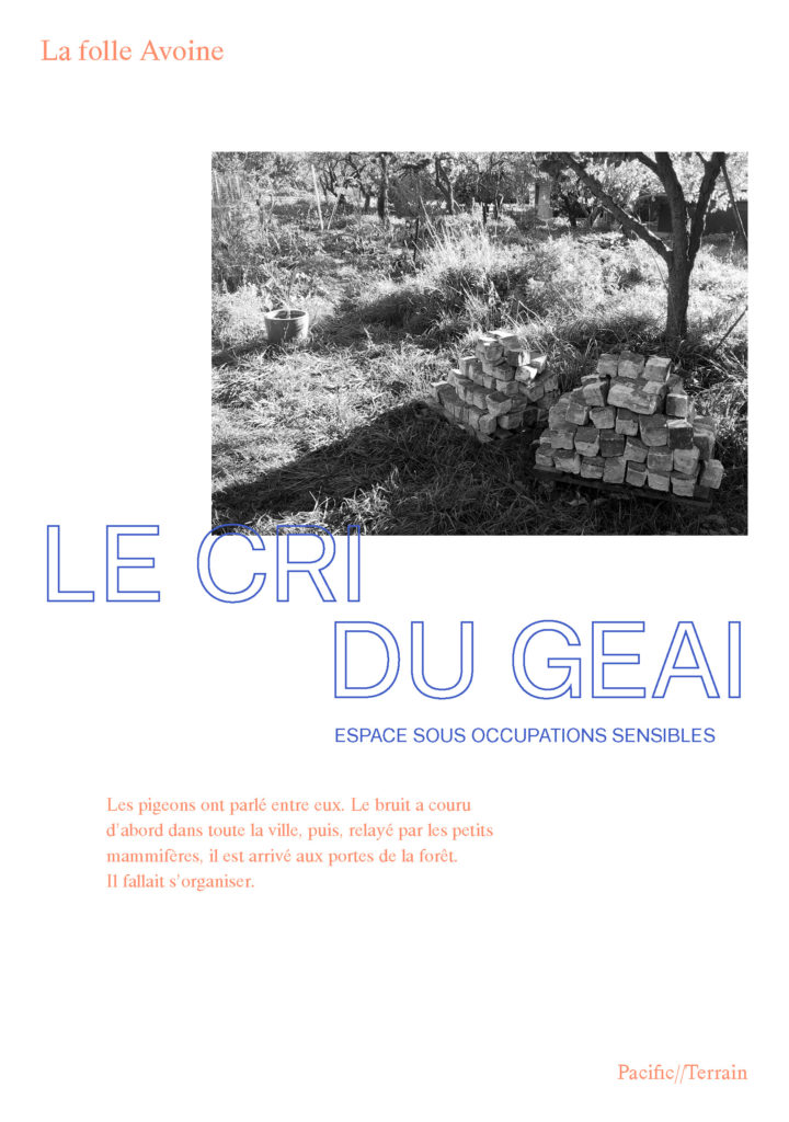 Lecture «Le cri du geai» au café culturel Le Mécanoscriptophile