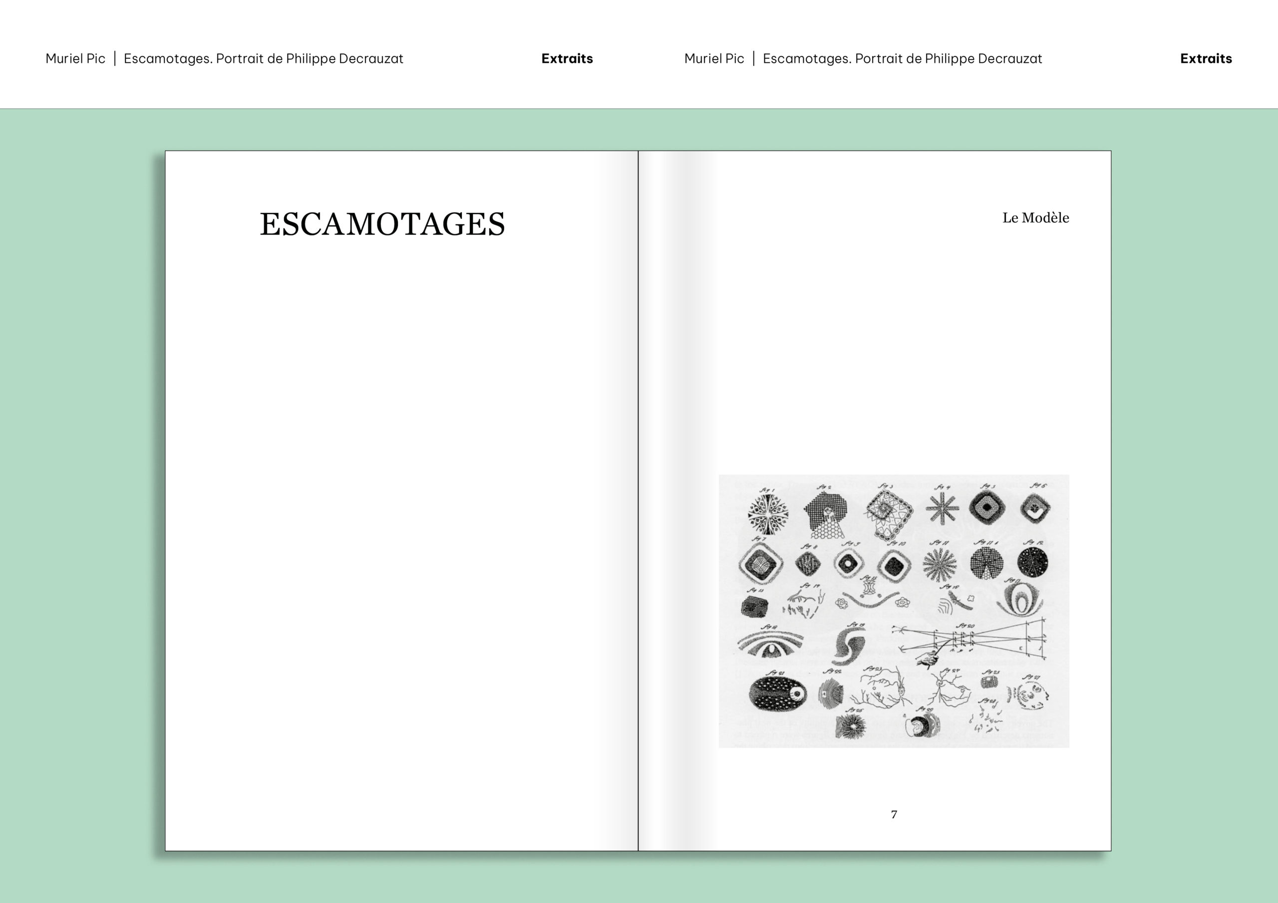 Extraits du livre «Escamotages. Portrait de Philippe Decrauzat» par Muriel Pic