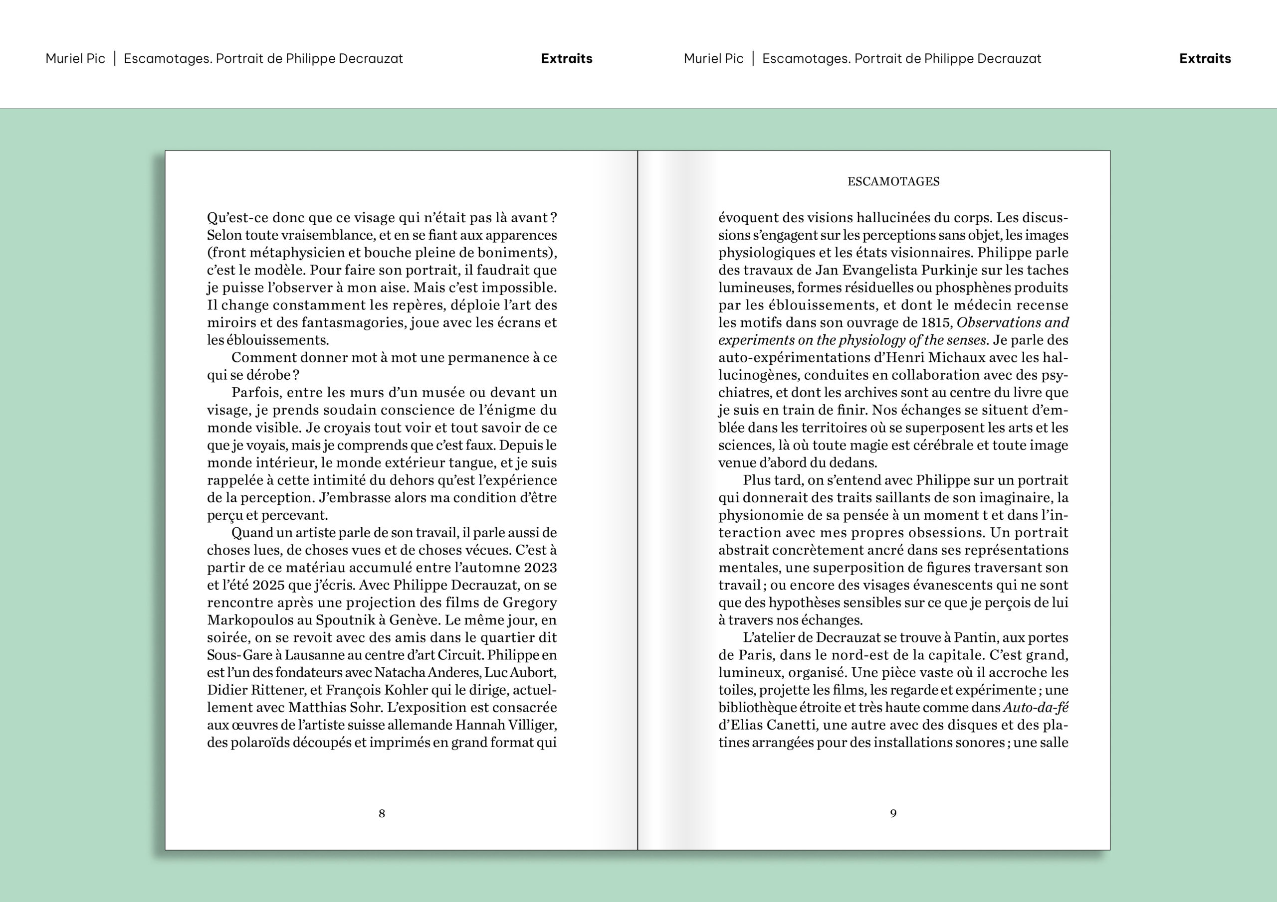 Extraits du livre «Escamotages. Portrait de Philippe Decrauzat» par Muriel Pic
