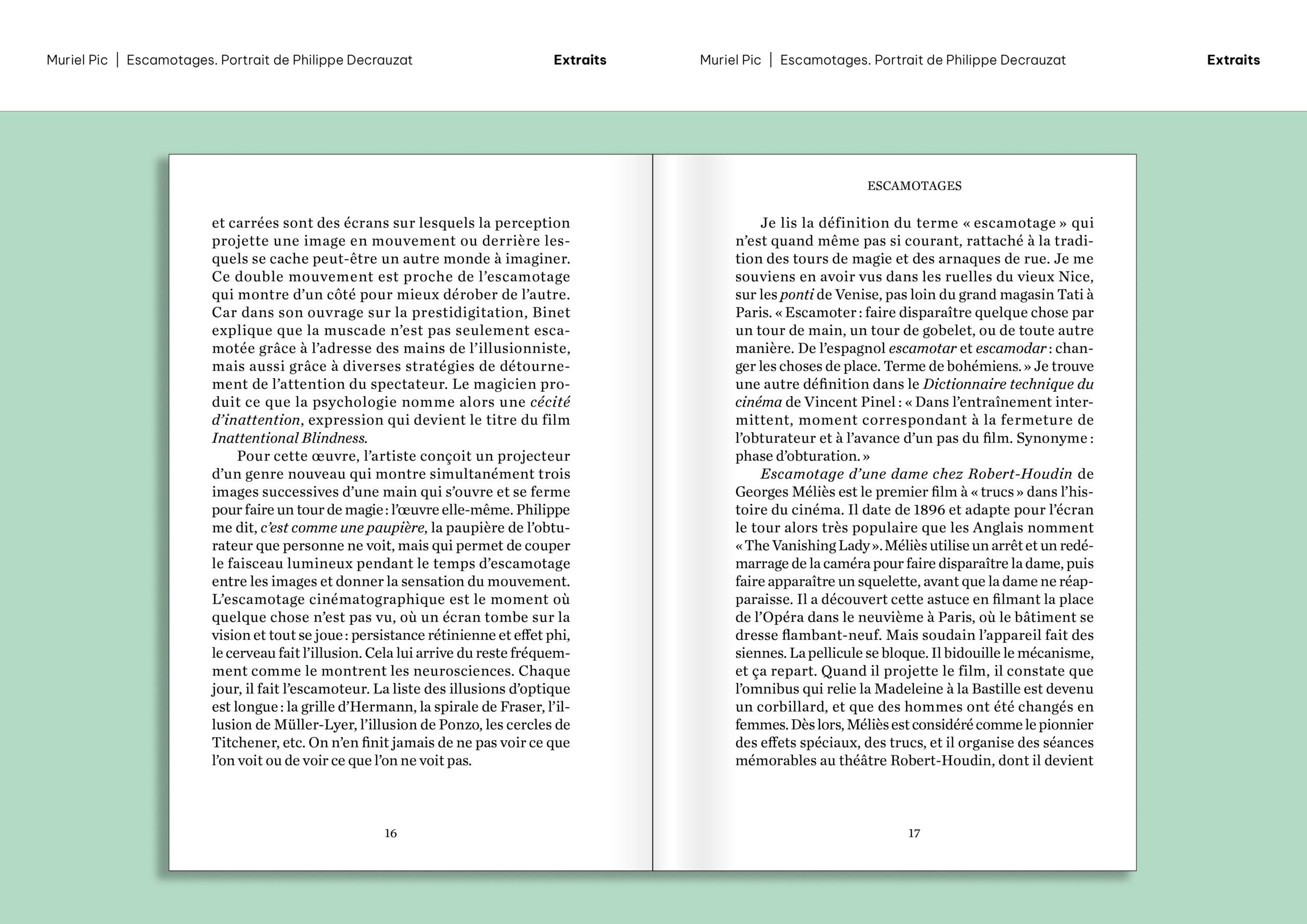 Extraits du livre «Escamotages. Portrait de Philippe Decrauzat» par Muriel Pic